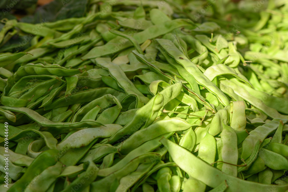 fresh pods of green beans at the local market 2 fresh pods of green beans at the local market 2
