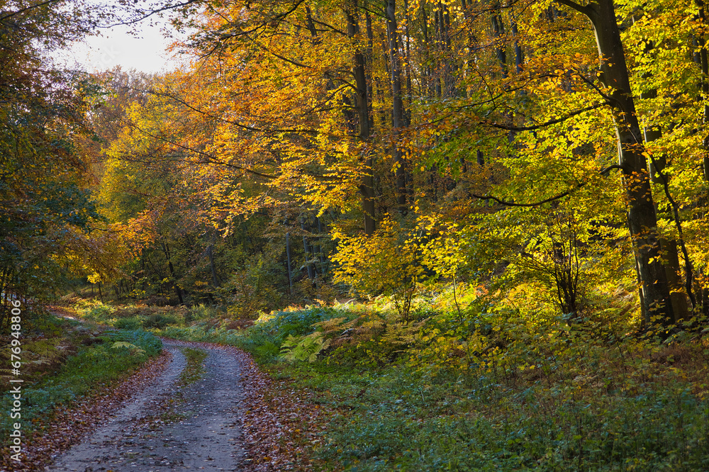 Obraz premium Insel Rügen an der Ostsee, Mecklenburg Vorpommern, Deutschland