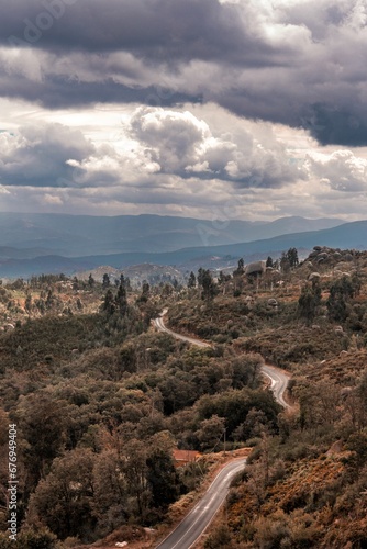 Road surrounded by trees against a cloudy sky