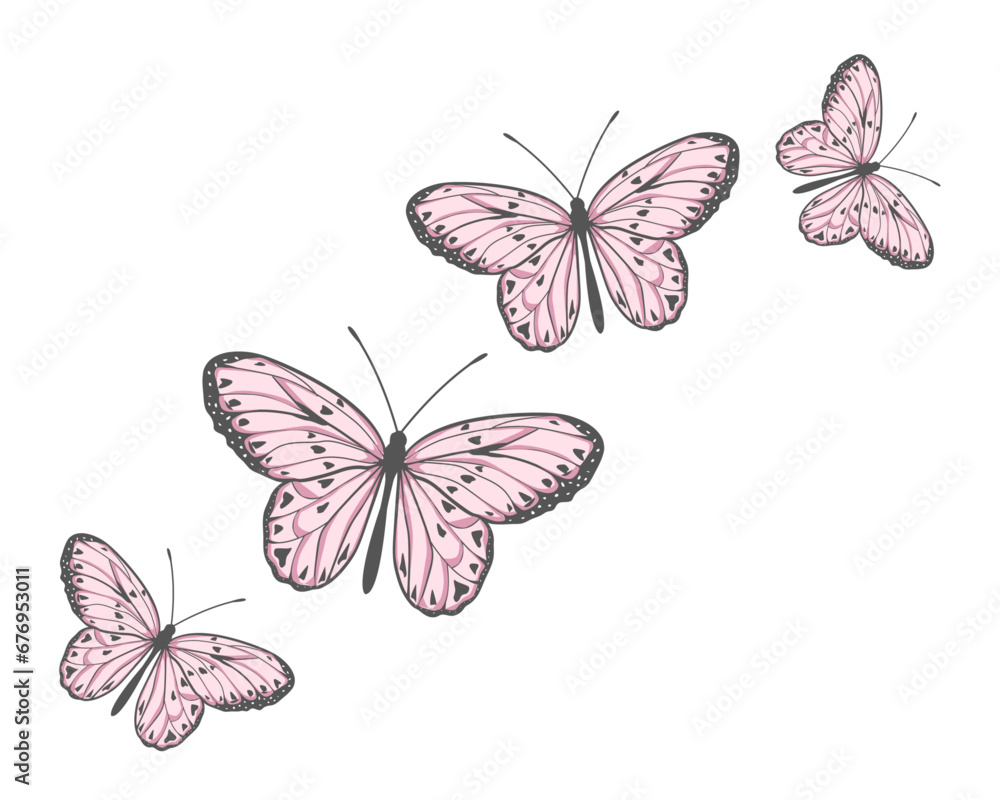 butterflies and flowers butterflies and flowers