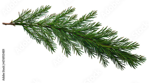 Fir twigs isolated on white created with Generative AI