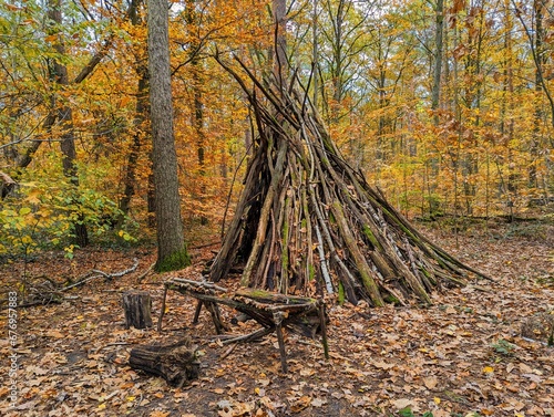 Bild auf Leinwand Self-built wooden hut in an autumn forest