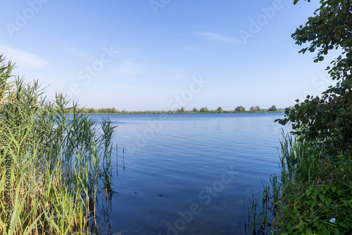 lake in sunny summer weather