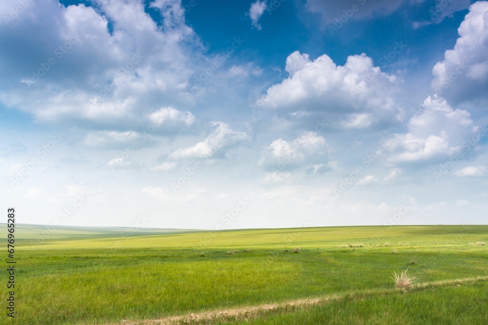 Beautiful shot of an empty green field under a blue sky Beautiful shot of an empty green field under a blue sky