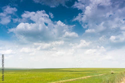 Beautiful shot of an empty green field under a blue sky © Wirestock