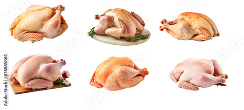 collection set of Fresh raw chicken on a transparent background. photo