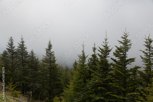 Fog on the Clingmans Dome road in the Great Smoky Mountains National Park photo
