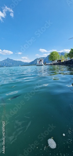 bleak alburnus fish under the water surface of lake attersee in austria