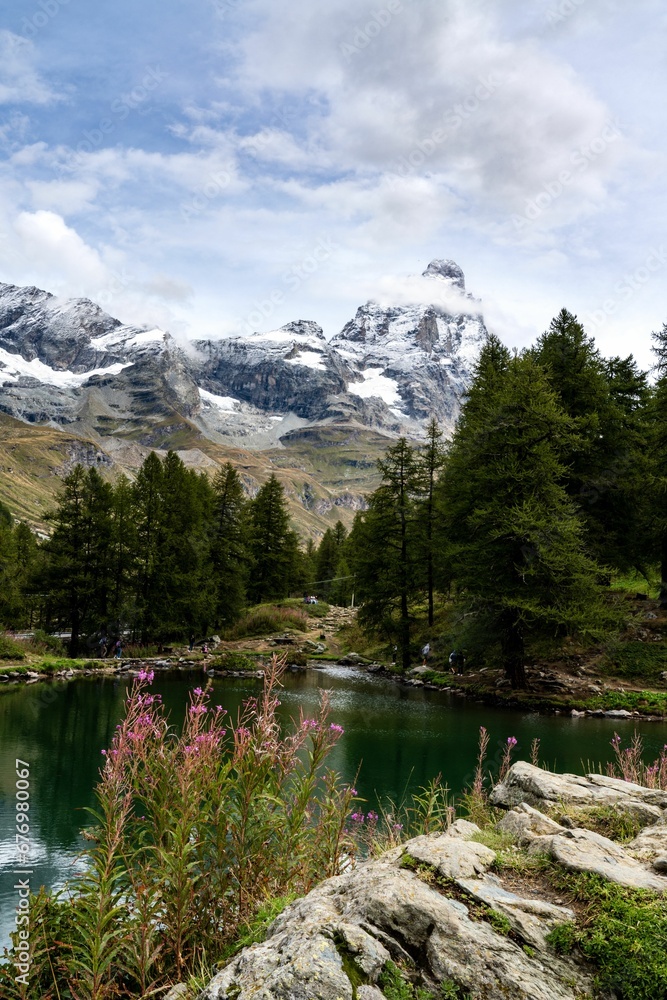 Vertical shot of a river surrounded by trees and rocky mountains, Breuil-Cervinia, Italy