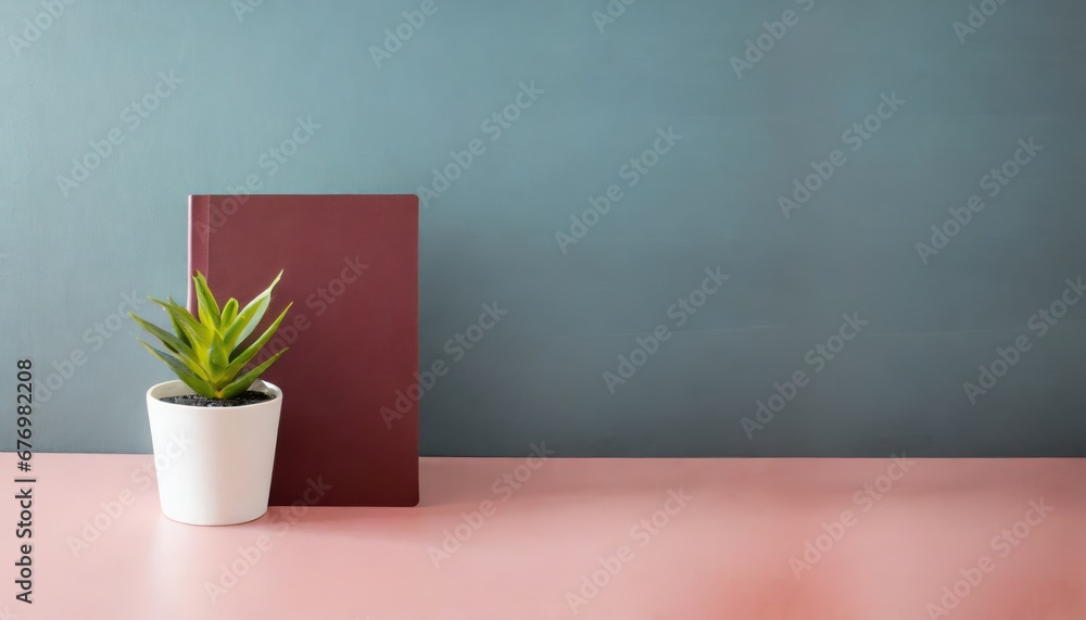 Composition minimaliste avec livre et plante