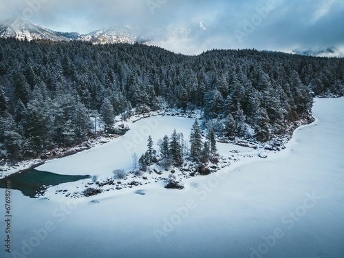 Snow covered forest surrounded by dense trees © Wirestock