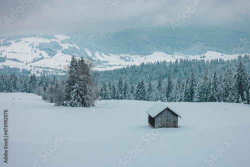 Mountain house in the middle of the mountain slope, surrounded by snowy forest,on a foggy winter day