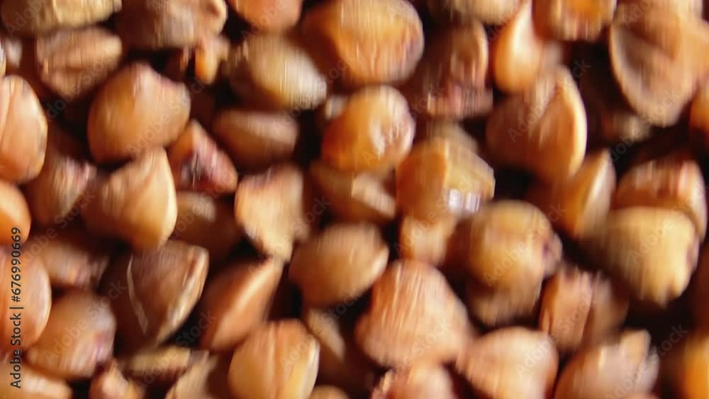 Dry Uncooked Brown Buckwheat Groats Background Moving Upward - Top View, Close-Up, Macro, Low Key Light. Raw Large Buckwheat Grains. Russian, Ukrainian and Belarusian Culture Dry Uncooked Brown Buckwheat Groats Background Moving Upward - Top View, Close-Up, Macro, Low Key Light. Raw Large Buckwheat Grains. Russian, Ukrainian and Belarusian Culture