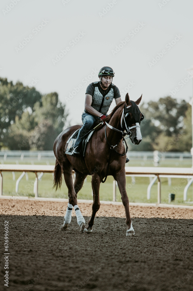 Thoroughbred race horse and rider Thoroughbred race horse and rider