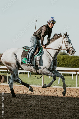 Gray thoroughbred race horse and rider