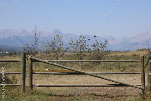 Wooden Fence