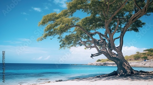 Tree on the beach with blue sky background. Seascape
