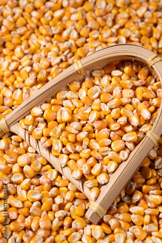 organic grain yellow corn seed or maize Full-Frame Background. Top View