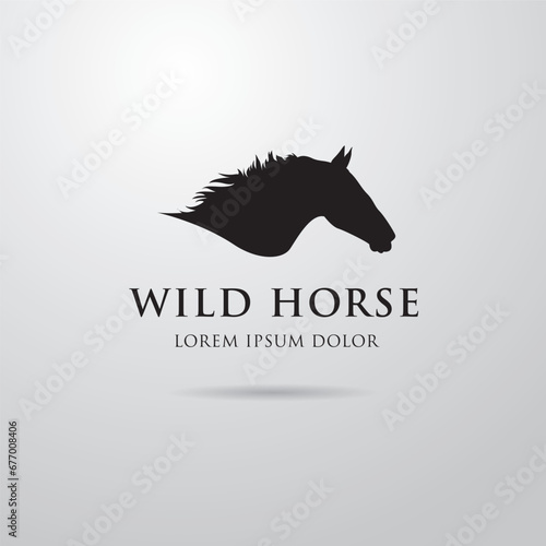 Silhouette of racing horse. Equestrian sport