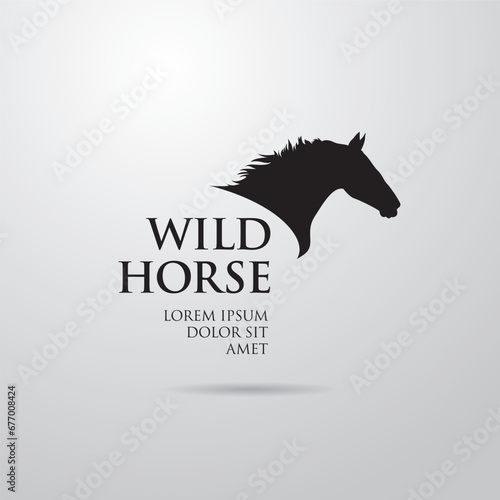 Silhouette of racing horse. Equestrian sport