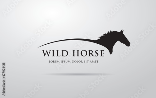 Silhouette of racing horse. Equestrian sport