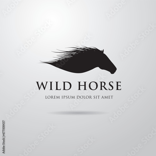 Silhouette of racing horse. Equestrian sport