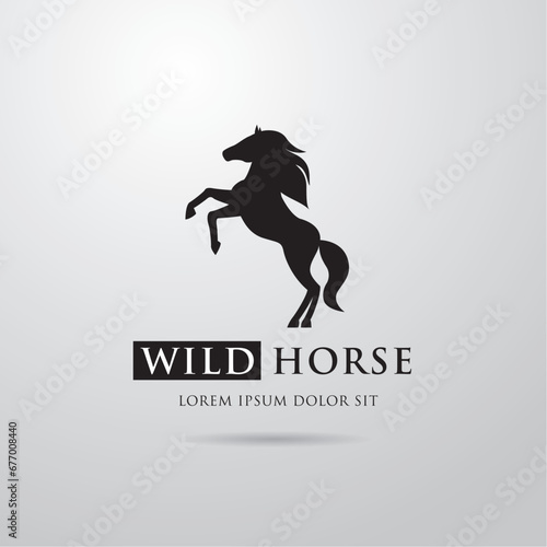Silhouette of racing horse. Equestrian sport