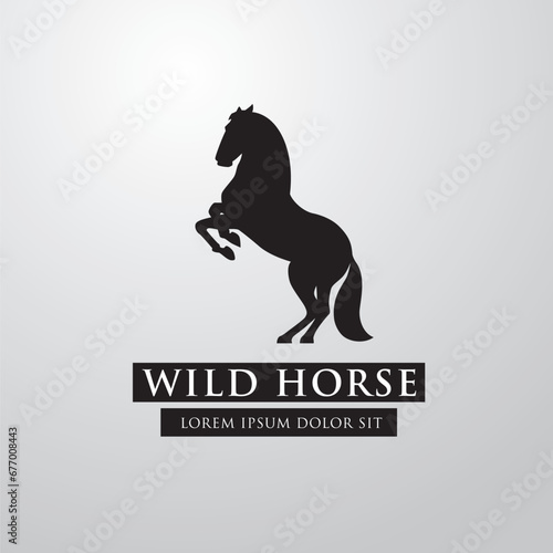 Silhouette of racing horse. Equestrian sport