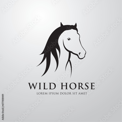 Silhouette of racing horse. Equestrian sport