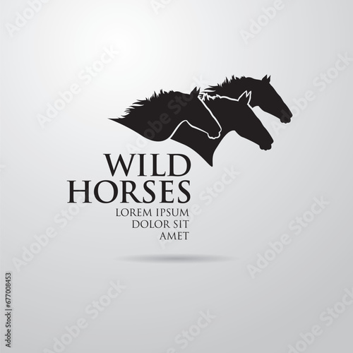 Silhouette of racing horse. Equestrian sport