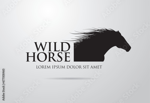 Silhouette of racing horse. Equestrian sport
