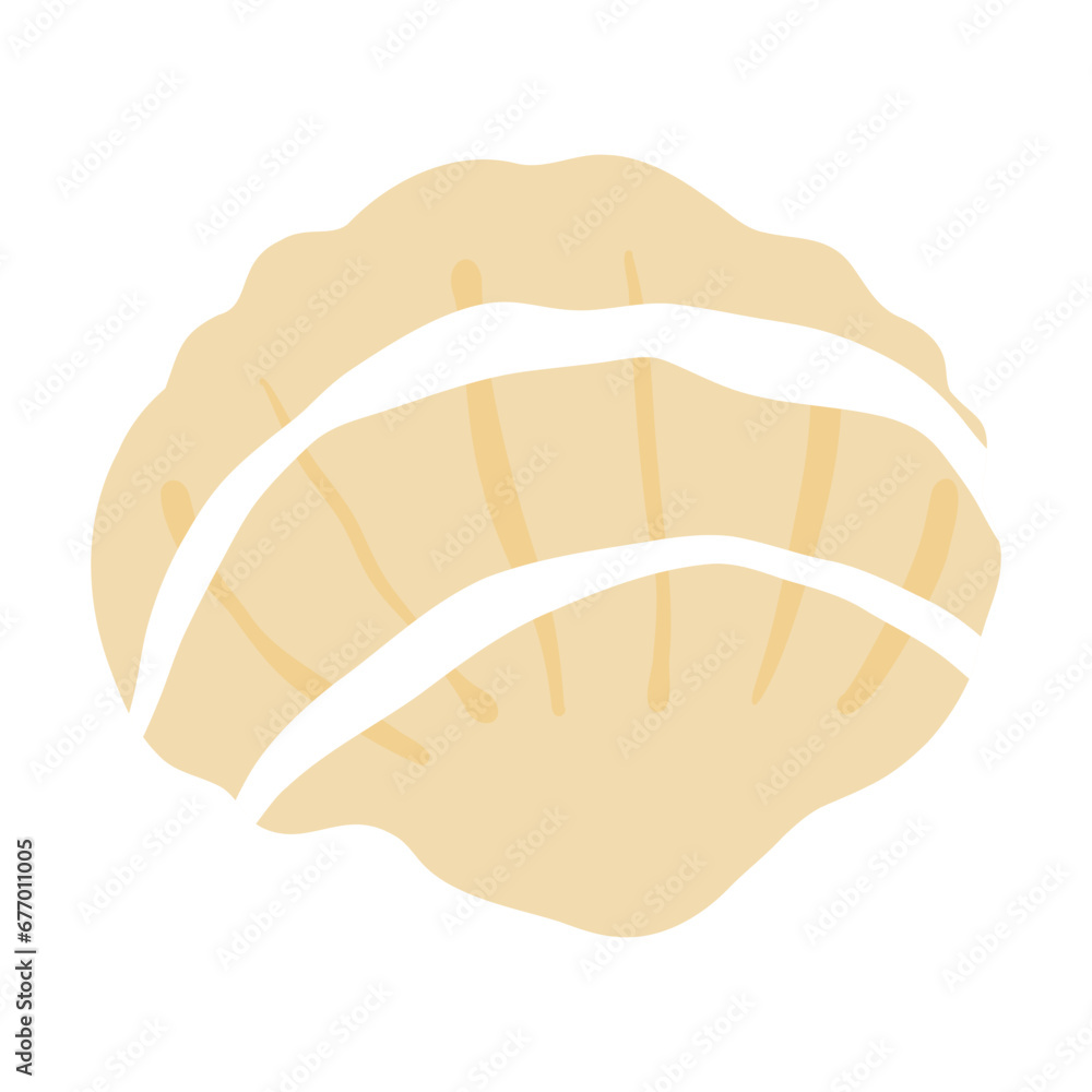 shell shell