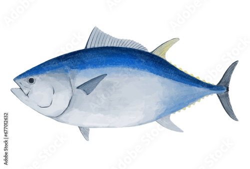 マグロのイラスト（黒マグロ）