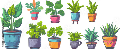 plants in pots isolated on white