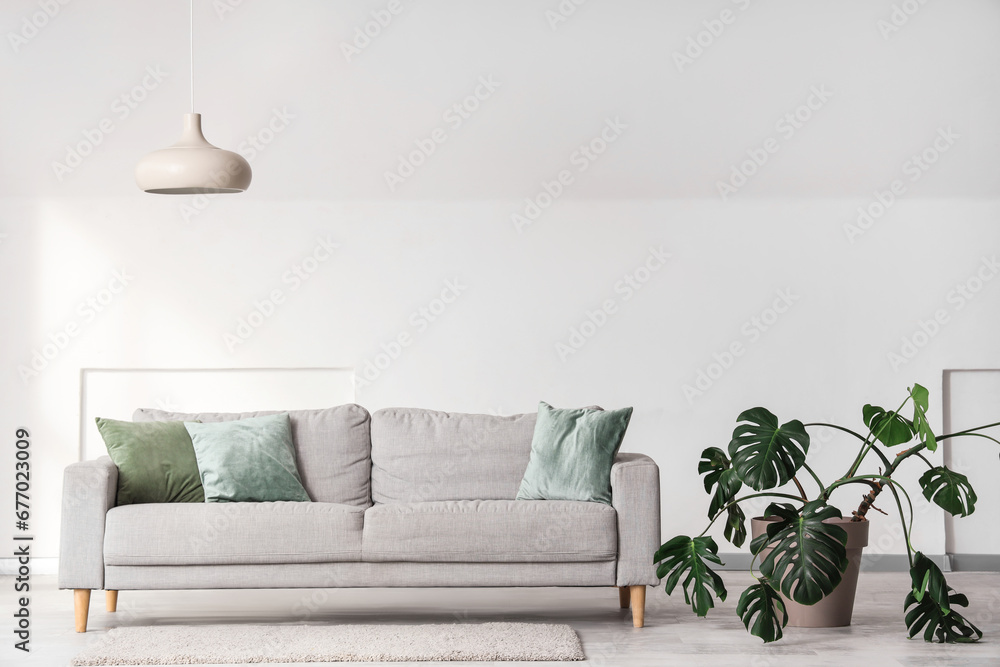 Interior of light living room with grey sofa, Monstera plant and lamp Interior of light living room with grey sofa, Monstera plant and lamp