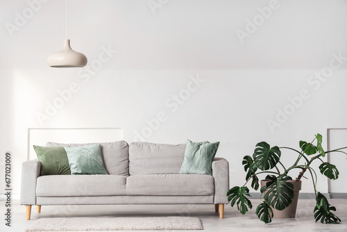Interior of light living room with grey sofa, Monstera plant and lamp