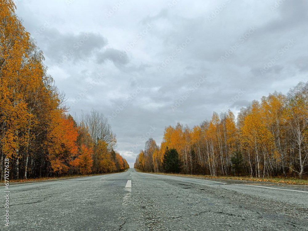 Obraz premium road through a bright autumn forest