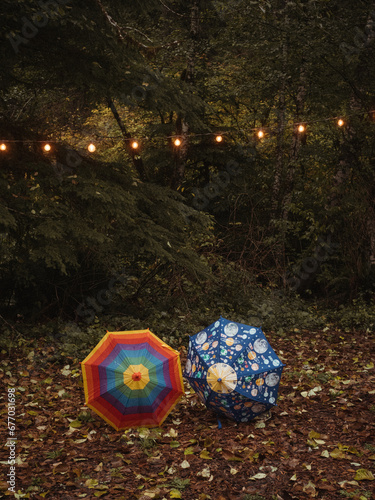 Umbrellas in Autumn Forest