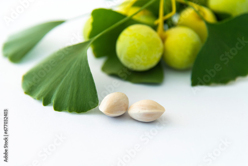 Ginkgo leaves with fruits on white background