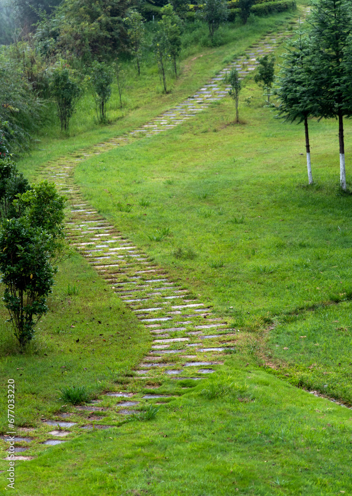 Obraz premium Walk path in the hill