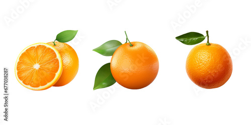 Bitter orange isolated on white background