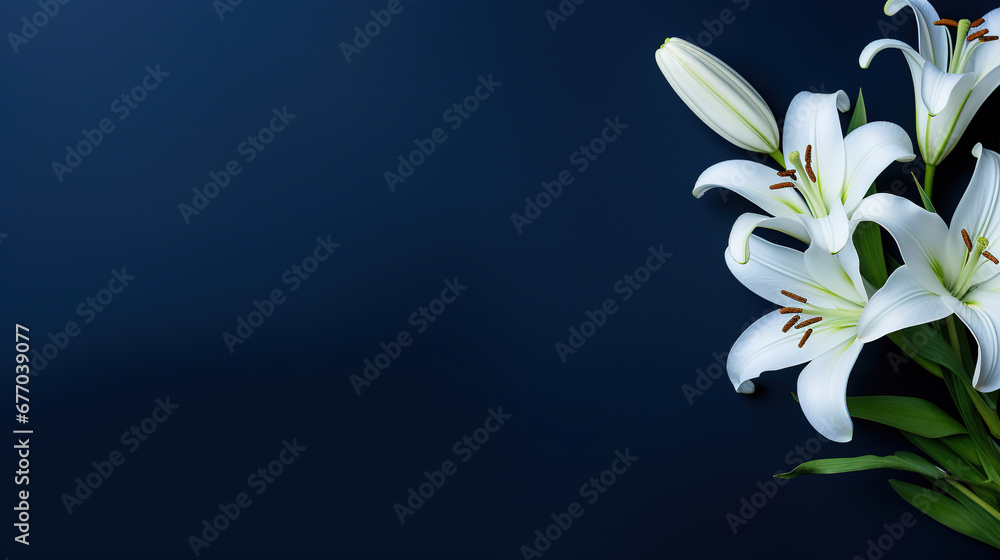 minimalistic lilies with dark blue background with copy space minimalistic lilies with dark blue background with copy space