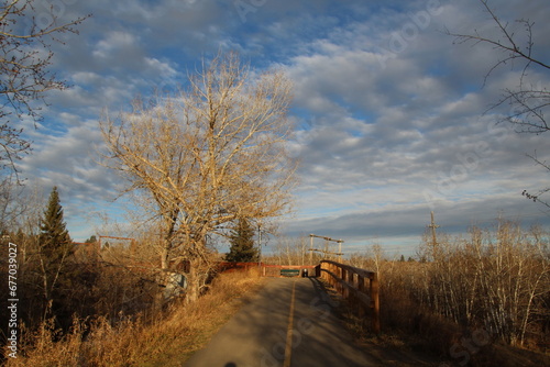 Afternoon On The Trail, Capilano Park, Edmonton, Alberta