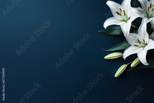 minimalistic lilies with dark blue background with copy space