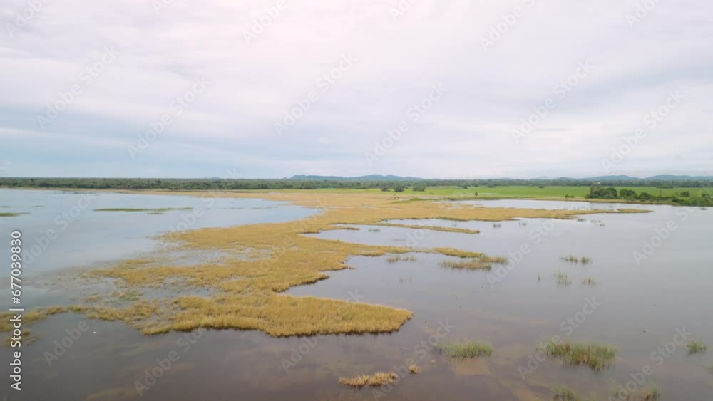 Aerial view of grass on a lake on a summer day in Chennai, India. Aerial view of grass on a lake on a summer day in Chennai, India.