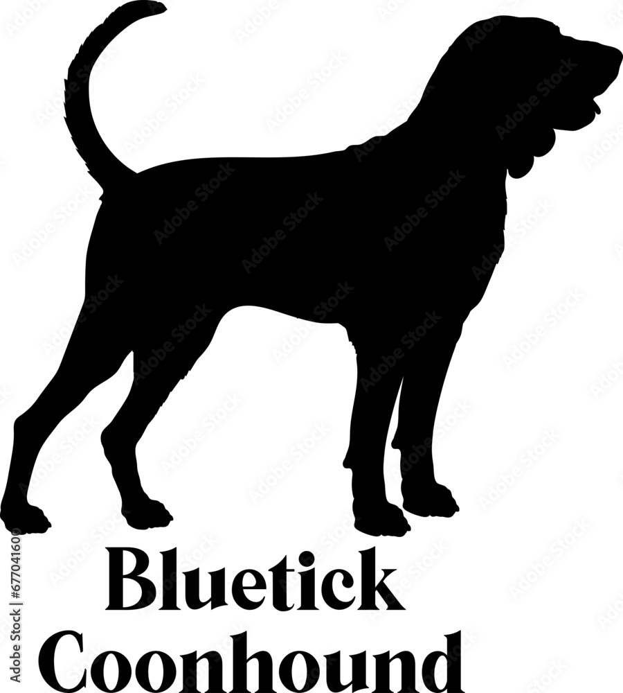 Bluetick Coonhound Dog silhouette dog breeds logo dog monogram logo dog face vector

