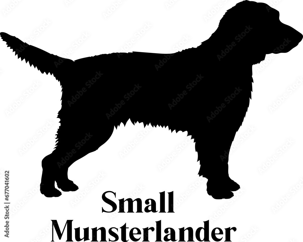 Small Munsterlander Dog silhouette dog breeds logo dog monogram logo dog face vector
