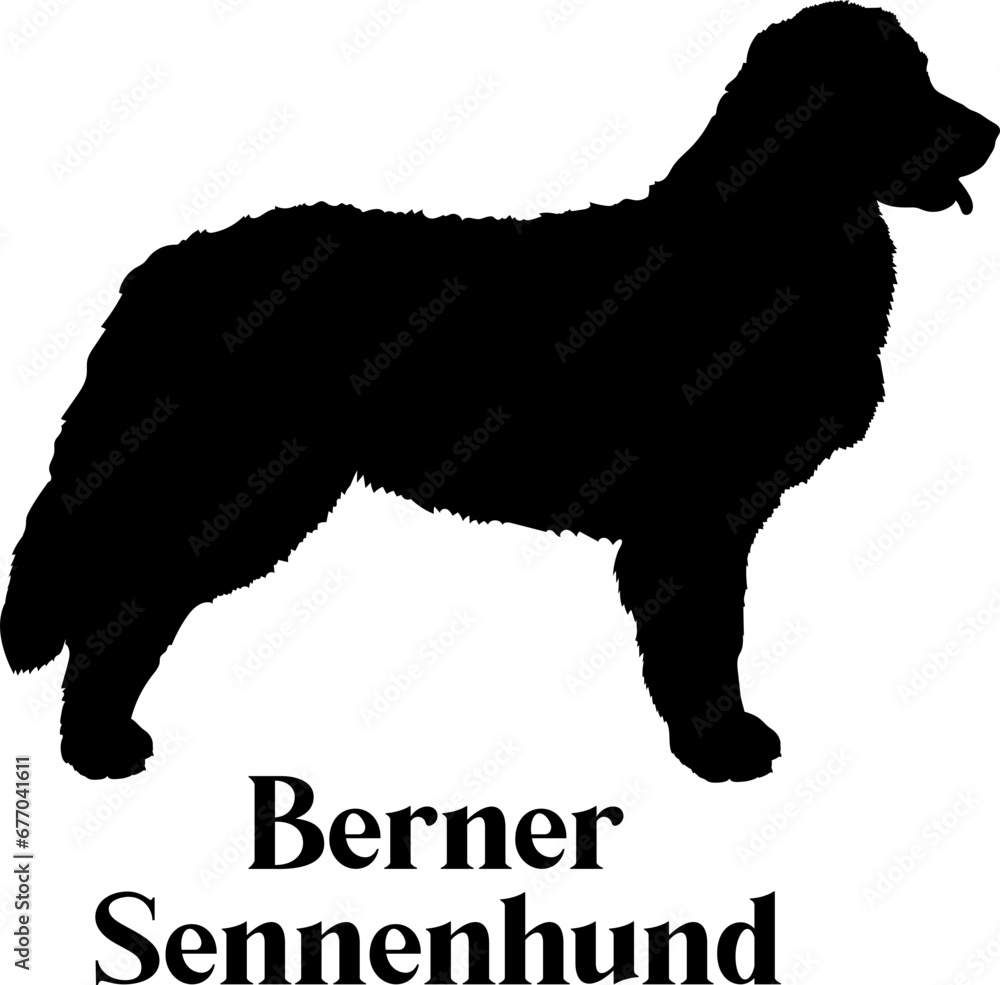 Berner Sennenhund Dog silhouette dog breeds logo dog monogram logo dog face vector
