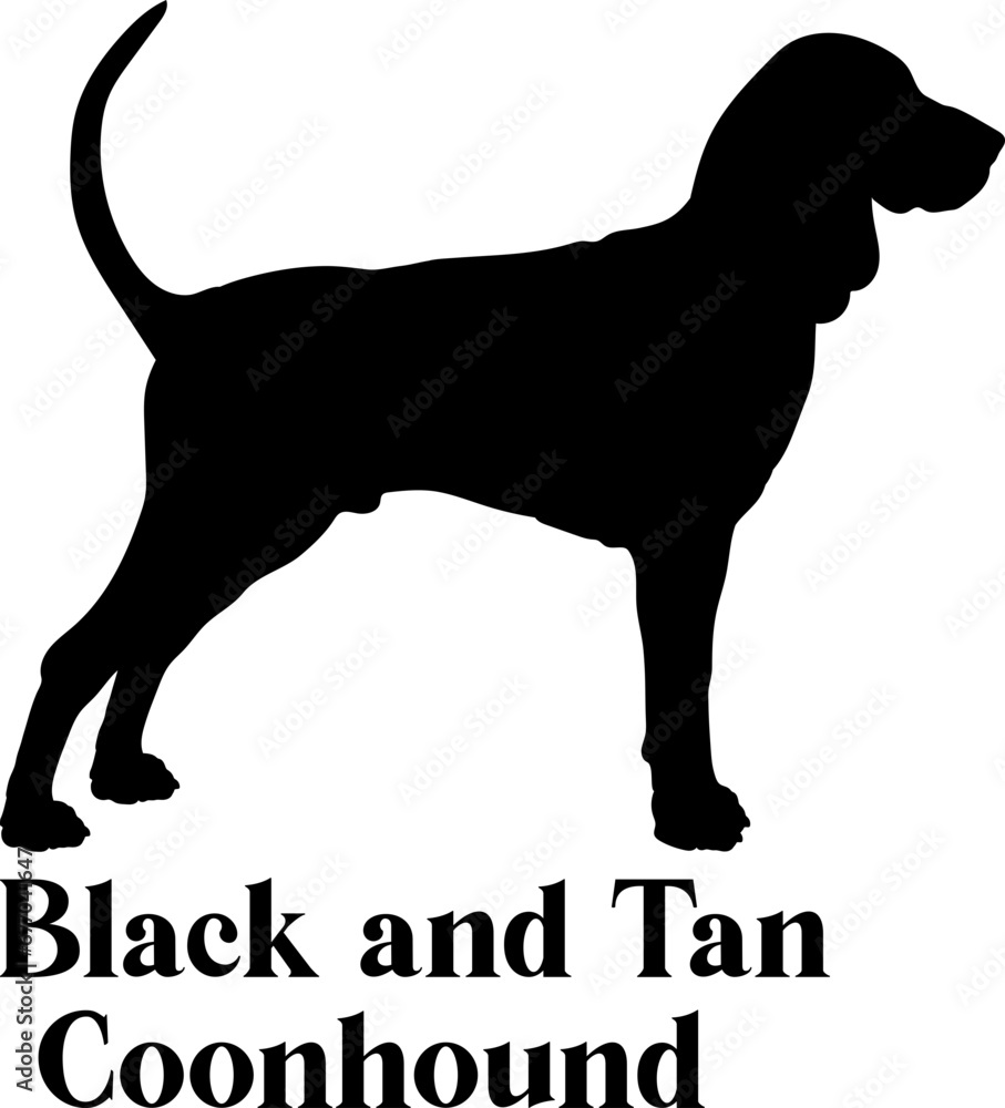 Black and Tan Coonhound Dog silhouette dog breeds logo dog monogram logo dog face vector
Black and Tan Coonhound Dog silhouette dog breeds logo dog monogram logo dog face vector