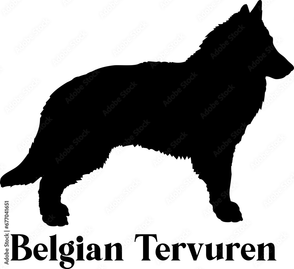 Belgian Tervuren Dog silhouette dog breeds logo dog monogram logo dog face vector
